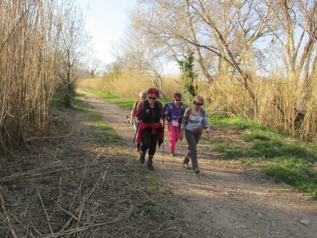 Berre l'Etang - Jeudi 28 février 2019 DpSmcn