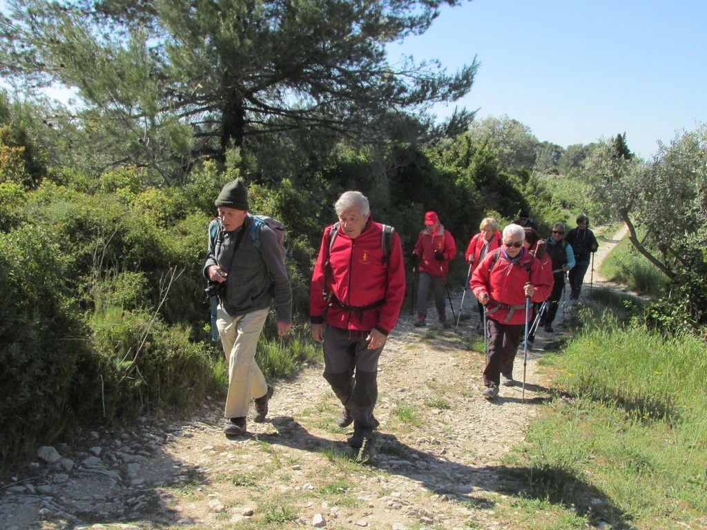 Randonnée culture Arles - Fontvieille - lundi 6 mai 2019 EEtVFn