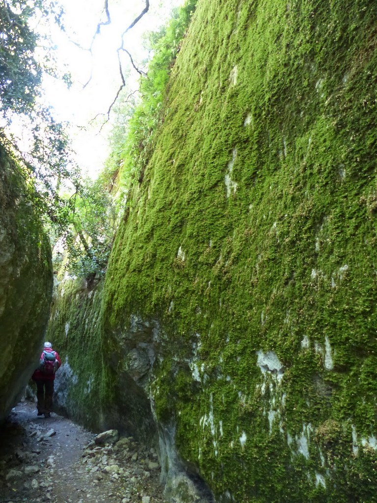         Cheval blanc - Gorges du régalon - Lundi 25 avril 2016 GX13U7