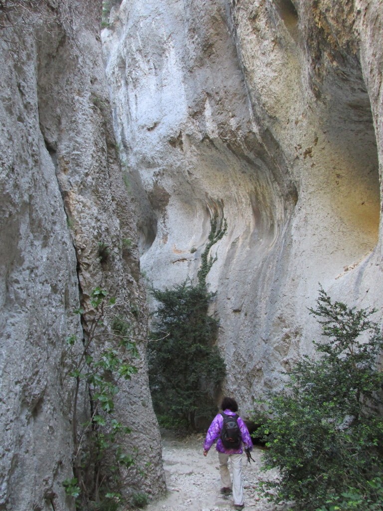         Cheval blanc - Gorges du régalon - Lundi 25 avril 2016 K7TiwA