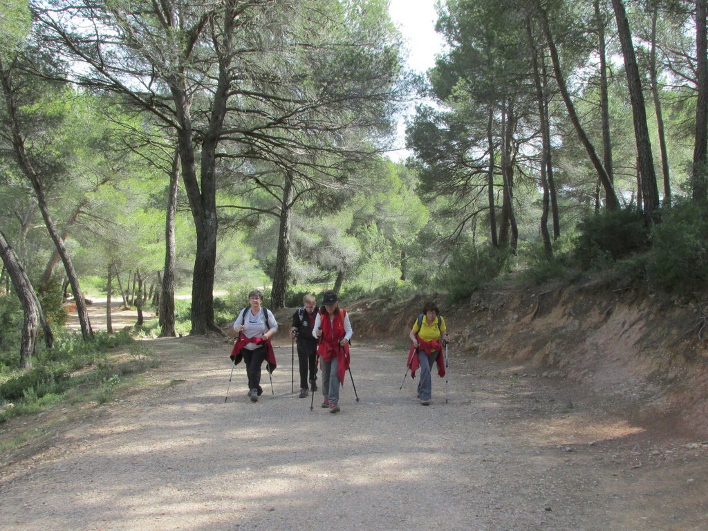 Le Tholonet - Jeudi 25 avril 2019 KjoBvc