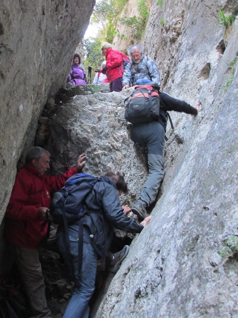         Cheval blanc - Gorges du régalon - Lundi 25 avril 2016 KkqAfd