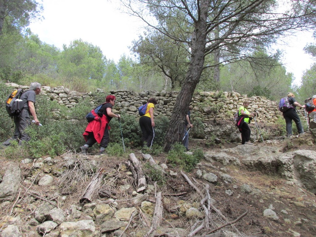         Martigues " Parc de Figuerolles " Jeudi 12 mai 2016 LF0anz