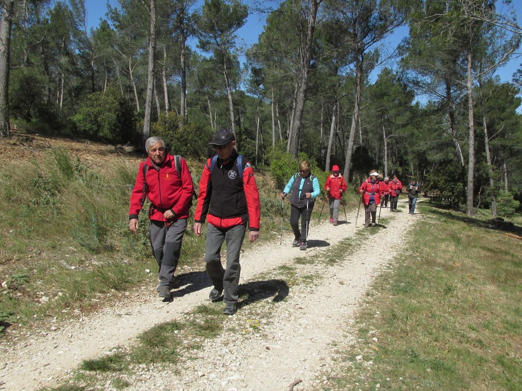 Randonnée culture Arles - Fontvieille - lundi 6 mai 2019 LzVQui