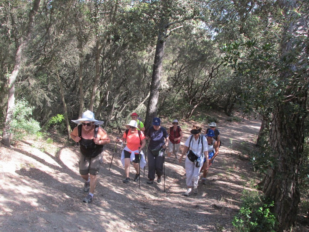 Porquerolles avec Jean Marie - jeudi 23 juin 2016 NMpMAB