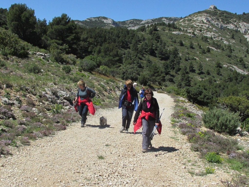         Cheval blanc - Gorges du régalon - Lundi 25 avril 2016 OPyrma