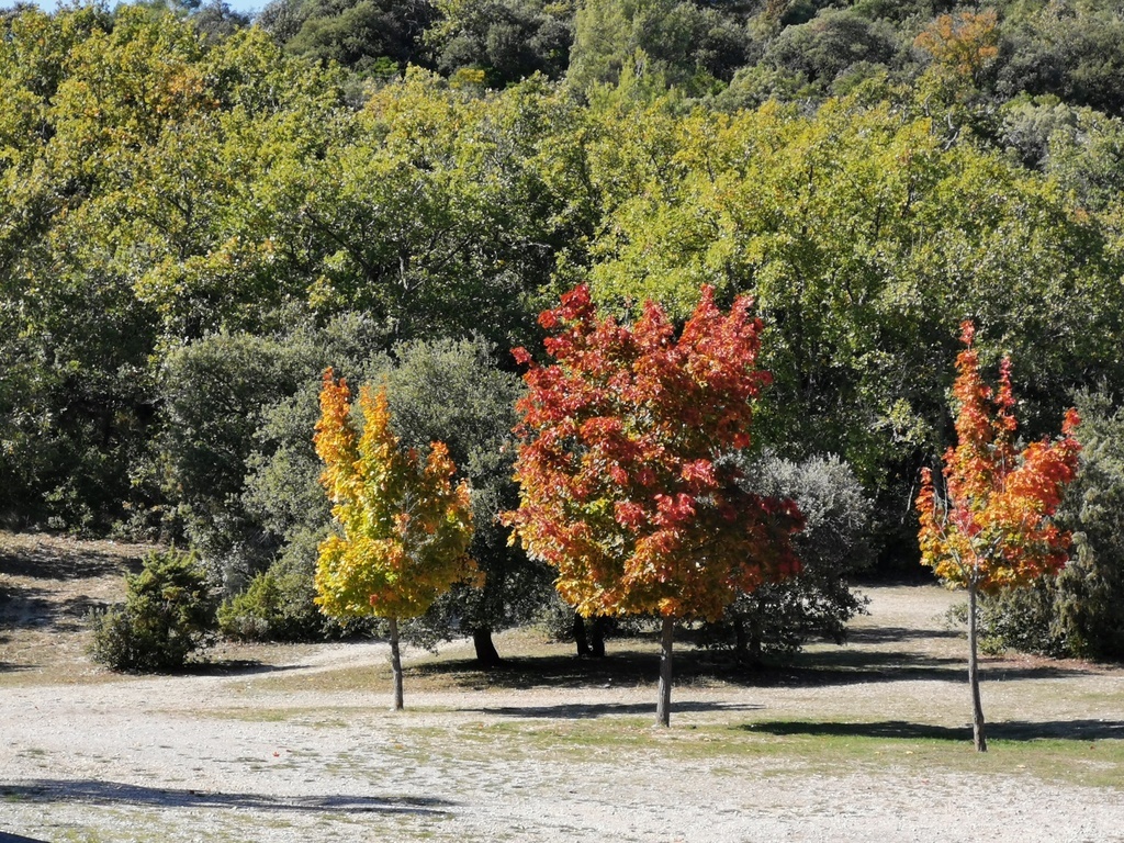 (René et Jes) Vauvenargues - Jeudi 15 octobre 2020 PISGIt