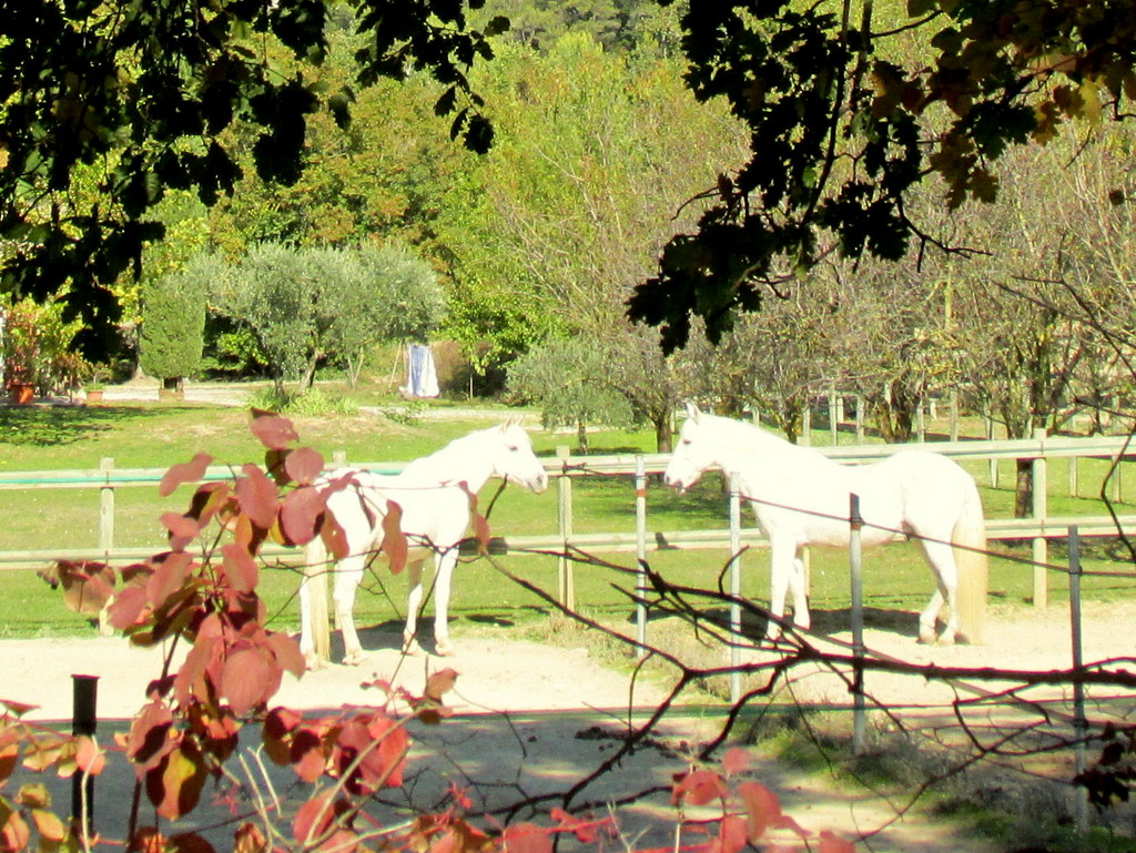 (Jean Marie et Gérard) Vauvenargues - Les Venturiers - Jeudi 15 octobre 2020 suite RbtY7F