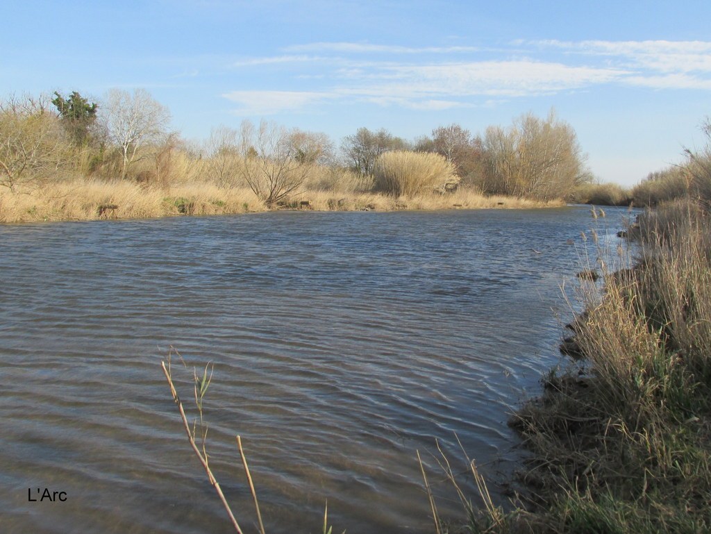 Berre l'Etang - Jeudi 28 février 2019 ScUB0p