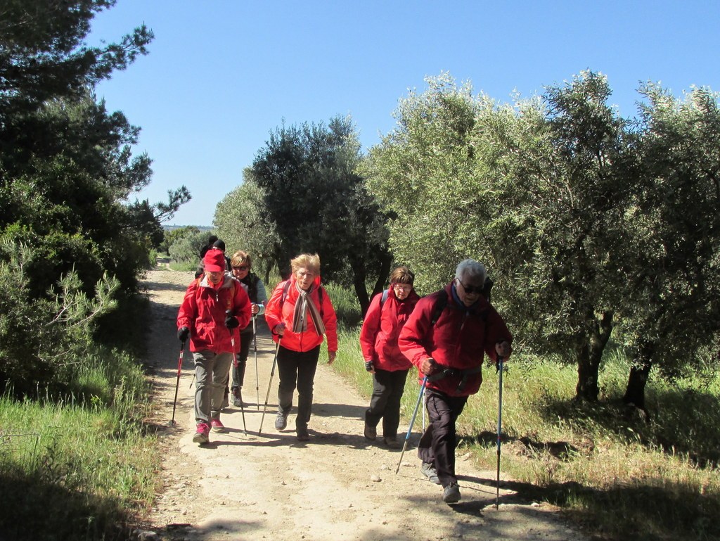 Randonnée culture Arles - Fontvieille - lundi 6 mai 2019 VKcid0