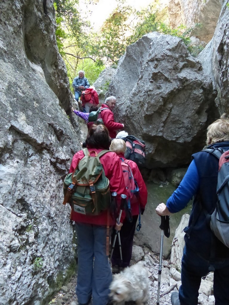         Cheval blanc - Gorges du régalon - Lundi 25 avril 2016 Xa1PND