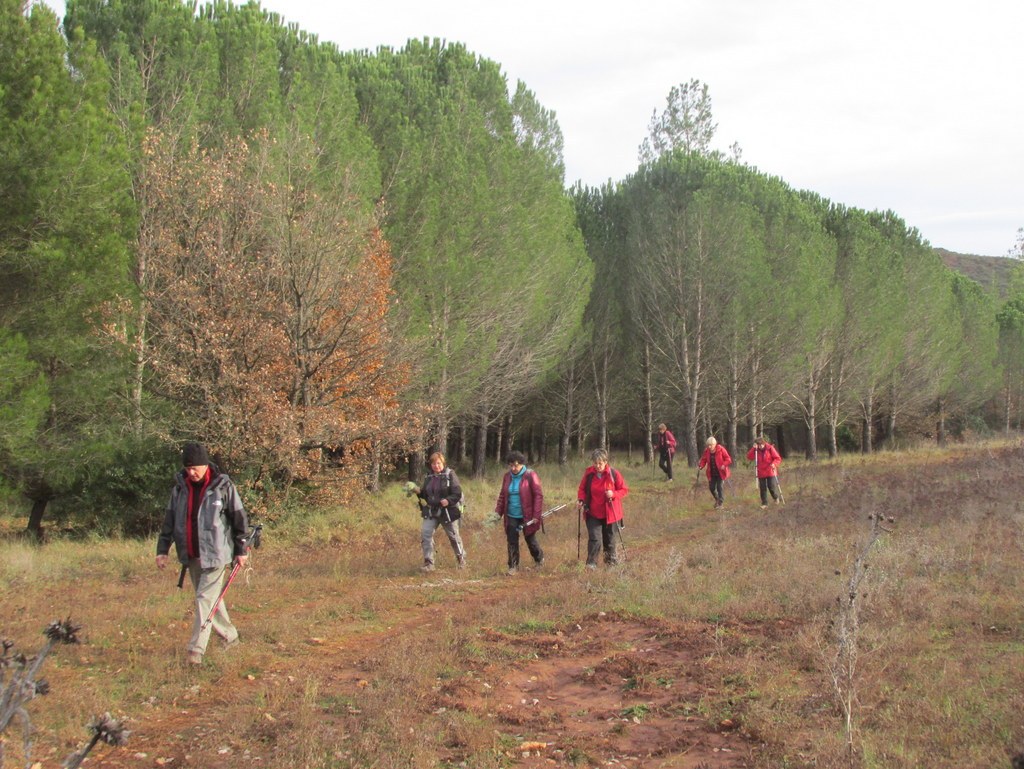 Pourrières - Jeudi 5 décembre 2019 Rando JM et Gérard - Photos Arlette et Roland Y4b8UI