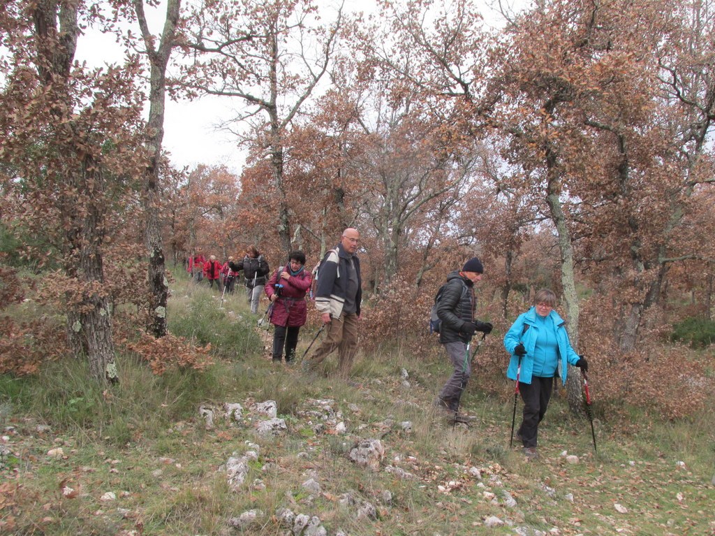 Pourrières - Jeudi 5 décembre 2019 Rando JM et Gérard - Photos Arlette et Roland AFBYQk