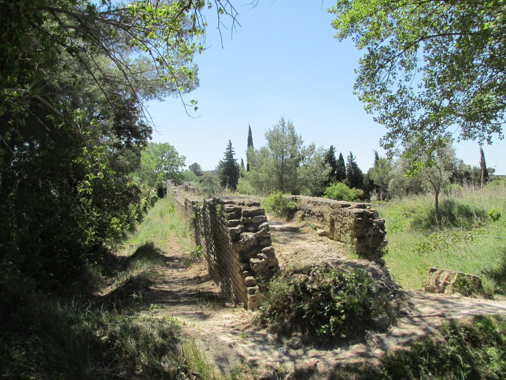 Randonnée culture Arles - Fontvieille - lundi 6 mai 2019 CXvbYq