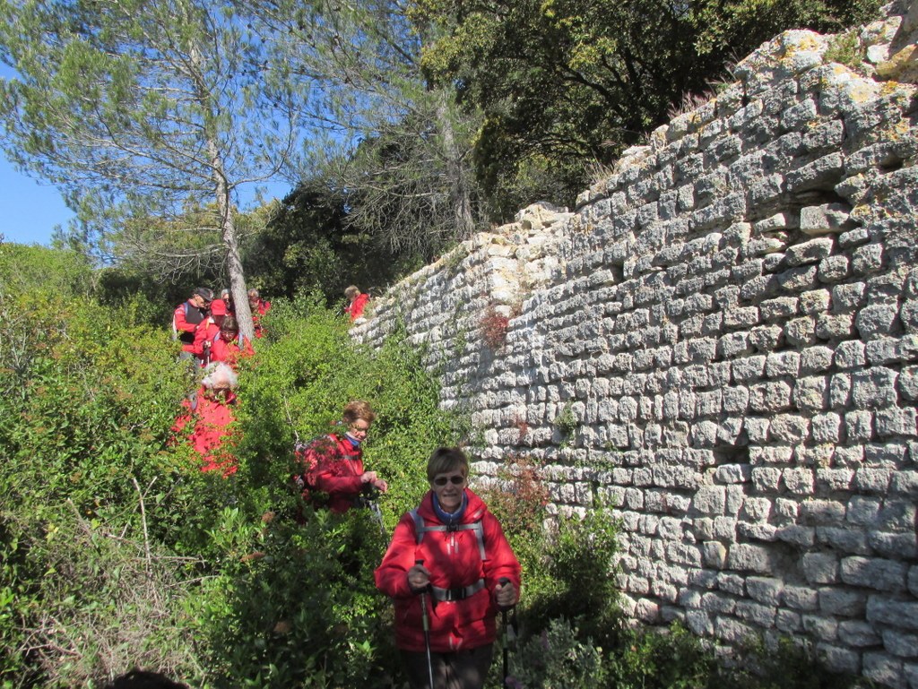 Randonnée culture Arles - Fontvieille - lundi 6 mai 2019 FFZV4J