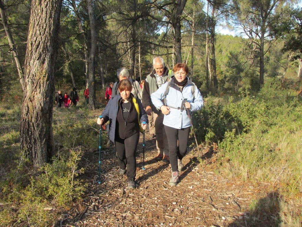 Gardanne -Jeudi 08 Décembre 2016 FRNmnp