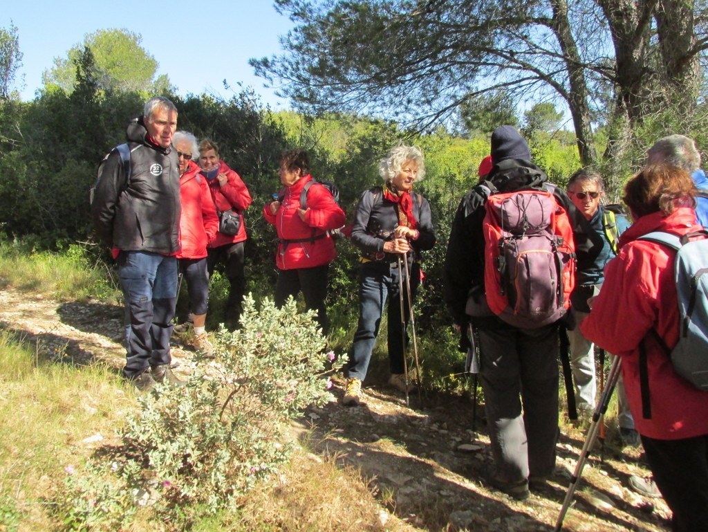 Randonnée culture Arles - Fontvieille - lundi 6 mai 2019 K5Q90j