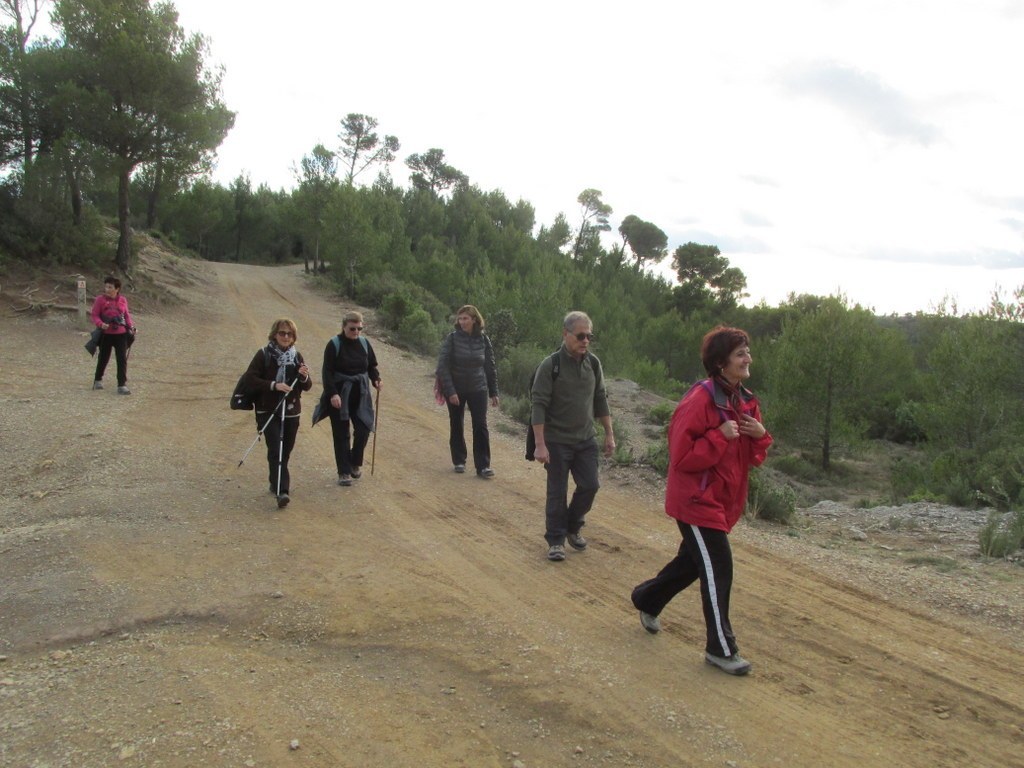 Roques Hautes - Barrage de Bimont -jeudi 10 novembre 2016 LcWs3M