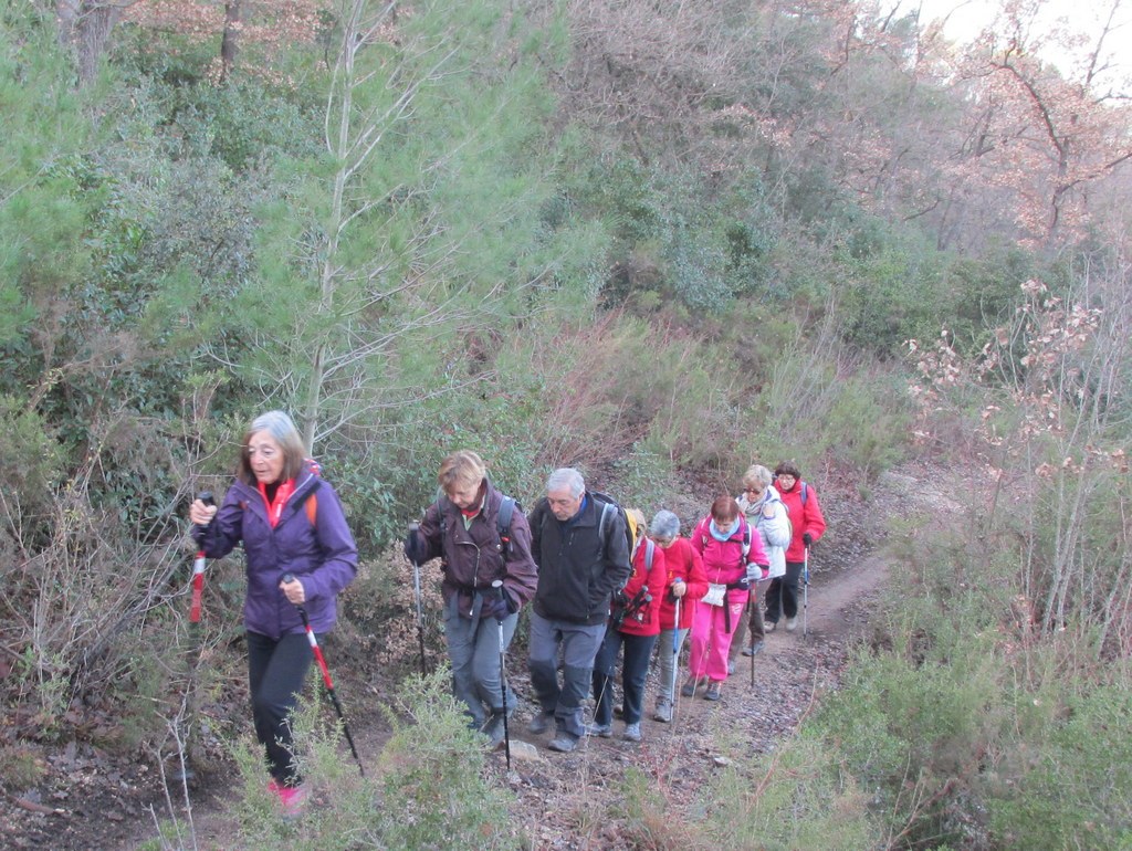 Gardanne- La Luynes - Jeudi 3 janvier 2019 MWZLit