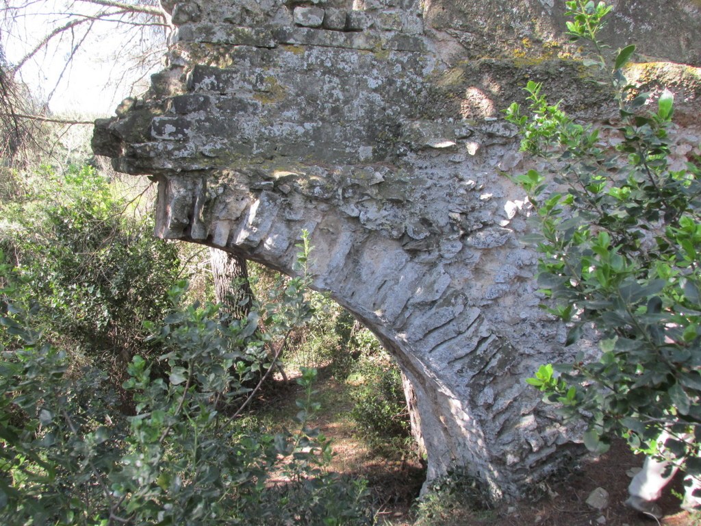 Randonnée culture Arles - Fontvieille - lundi 6 mai 2019 MZ69KD