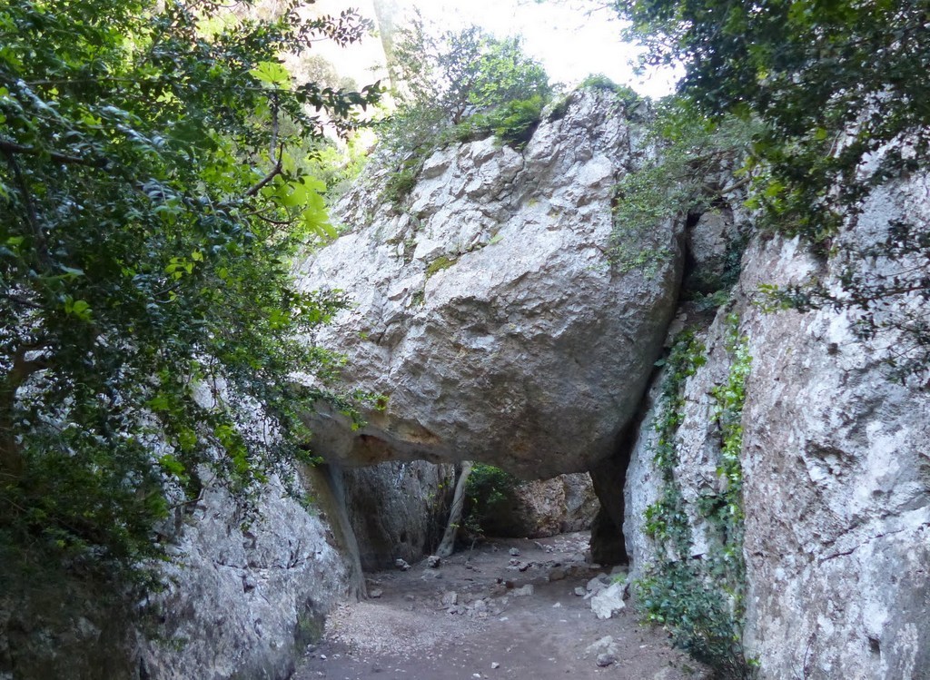         Cheval blanc - Gorges du régalon - Lundi 25 avril 2016 NeF6Ch