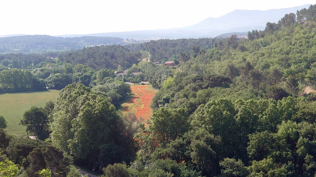 (Pierre et Jes) Gardanne - Mur de Gueydan - Samedi matin 21 mai  2022 OeQ9E7