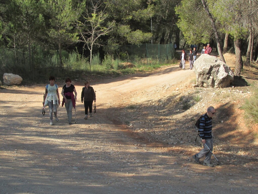      Gardanne - Mur de Gueydan - jeudi 07 avril 2016 PBx2Fj