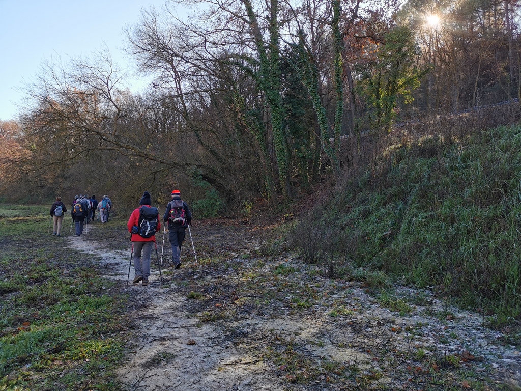 (René et Jes) Bouc Bel Air - Jeudi 16 décembre 2021 UUJgIV