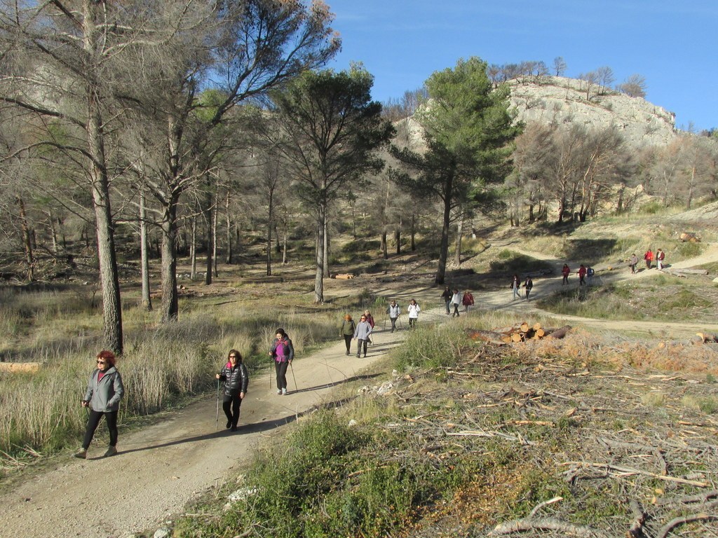 Ensuès - Calanque des eaux salées - Jeudi 18 janvier 2018 VubYen