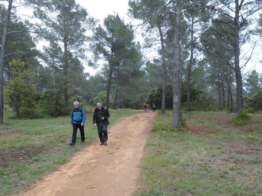 Le Tholonet - Bibemus - Jeudi 27 avril 2017 Wb5xdm