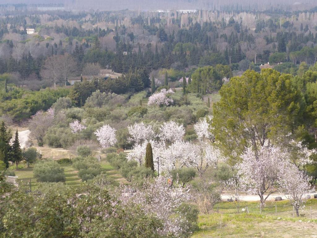 ( Gérard et Jean-Marie ) Eygalières - Jeudi 23 février 2023 Xcf1Io