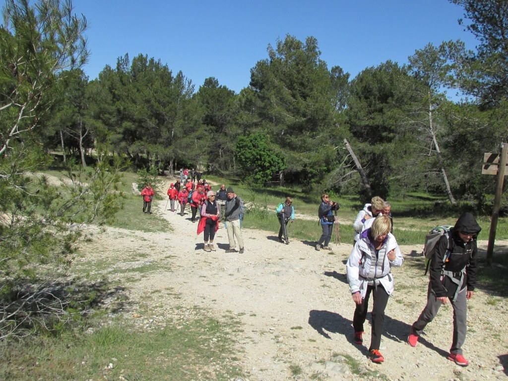 Randonnée culture Arles - Fontvieille - lundi 6 mai 2019 XypCs1