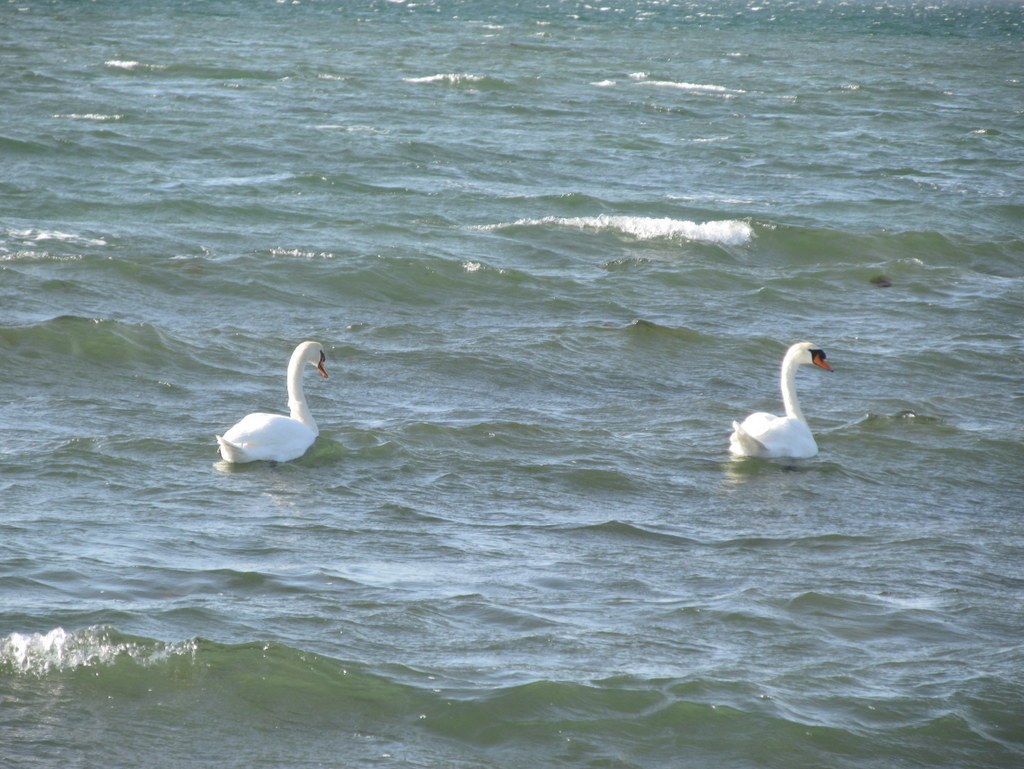 Berre l'Etang - Jeudi 28 février 2019 0HCvUY