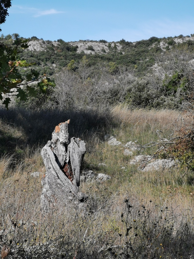 (René et Jes) Vauvenargues - Jeudi 15 octobre 2020 1sxSwp