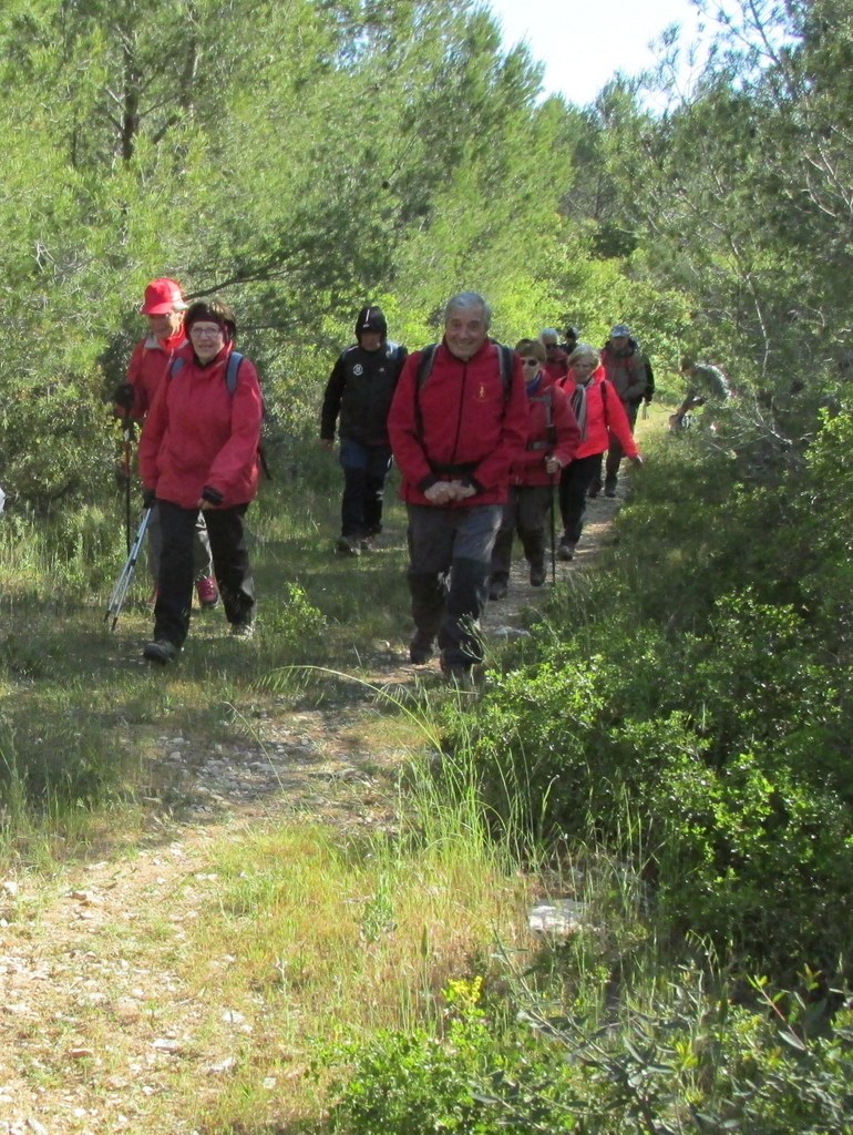 Randonnée culture Arles - Fontvieille - lundi 6 mai 2019 2P5opq