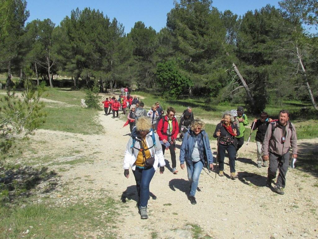 Randonnée culture Arles - Fontvieille - lundi 6 mai 2019 6GRw5p