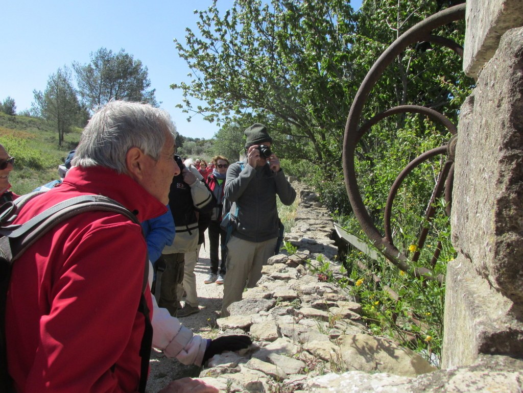 Randonnée culture Arles - Fontvieille - lundi 6 mai 2019 CGJLea