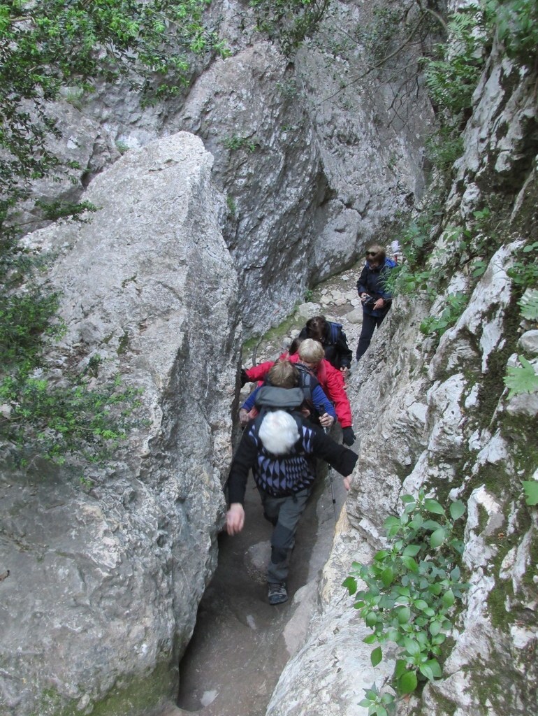         Cheval blanc - Gorges du régalon - Lundi 25 avril 2016 EVdWOa