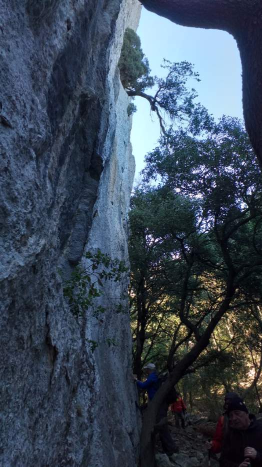 Gémenos -La Petite St Baume - Jeudi 11 février 2021 EsagCH