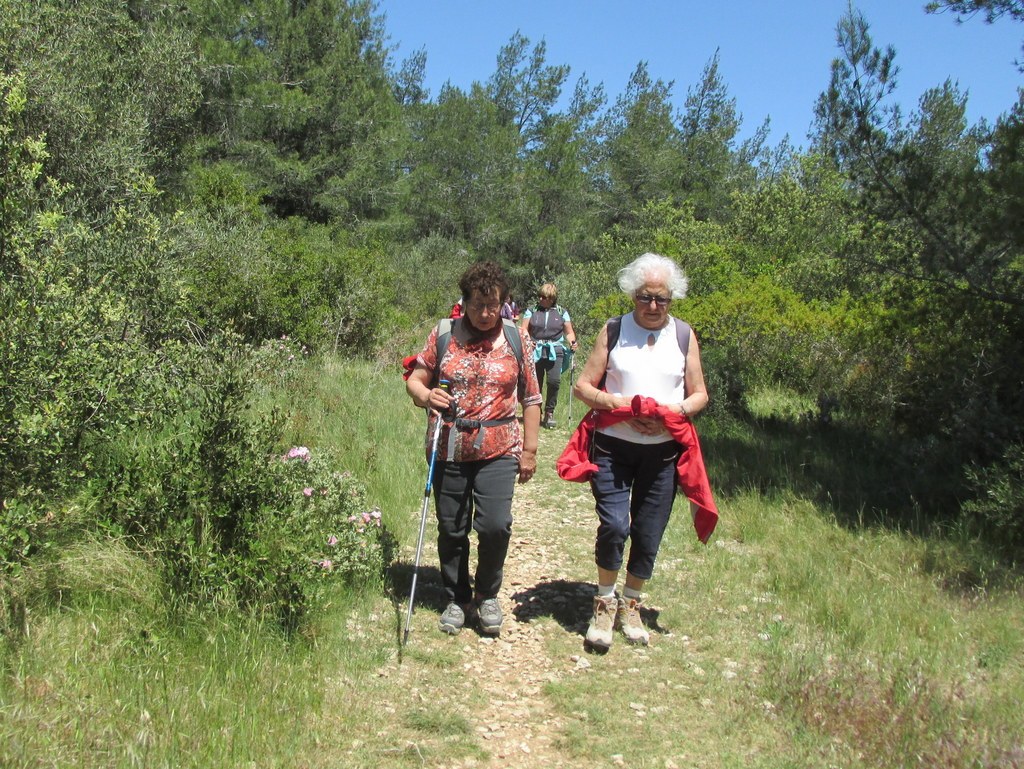 Randonnée culture Arles - Fontvieille - lundi 6 mai 2019 Jrw9RD