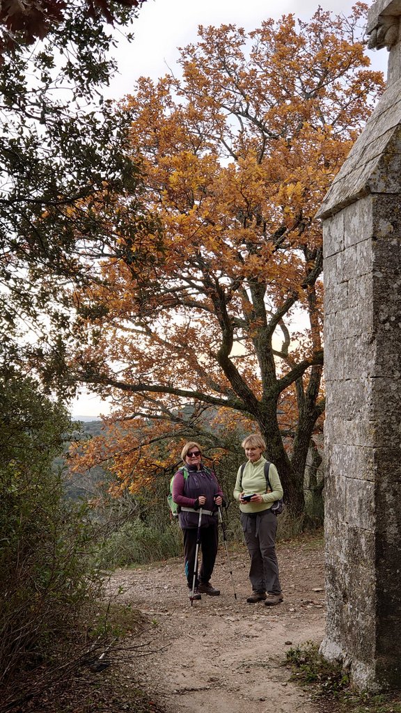 (René et Jes) La Roque d'Anthéron - Jeudi 22 décembre 2022 Kp2Jh8