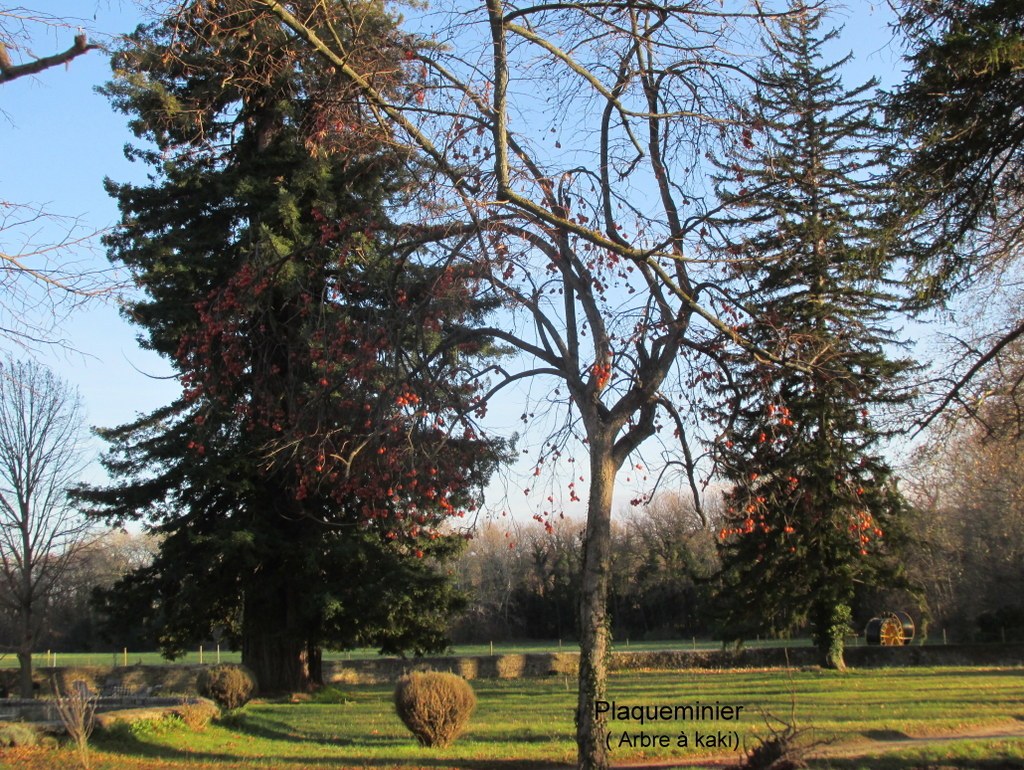 St Cannat - Jeudi 27 décembre 2018 Lpl3zW