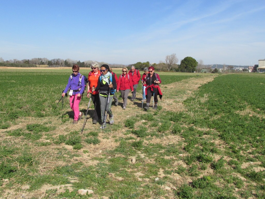 Berre l'Etang - Jeudi 28 février 2019 MhsWHM