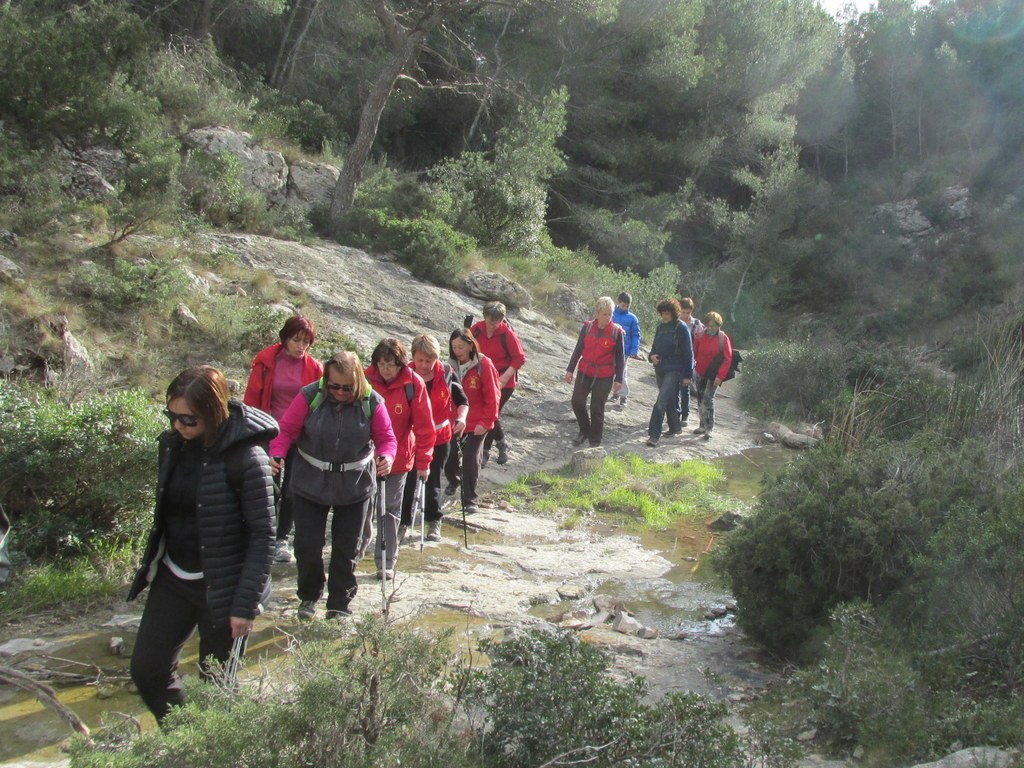 Ensuès - Calanque des eaux salées - jeudi 3 mars 2016 Mhwpu8