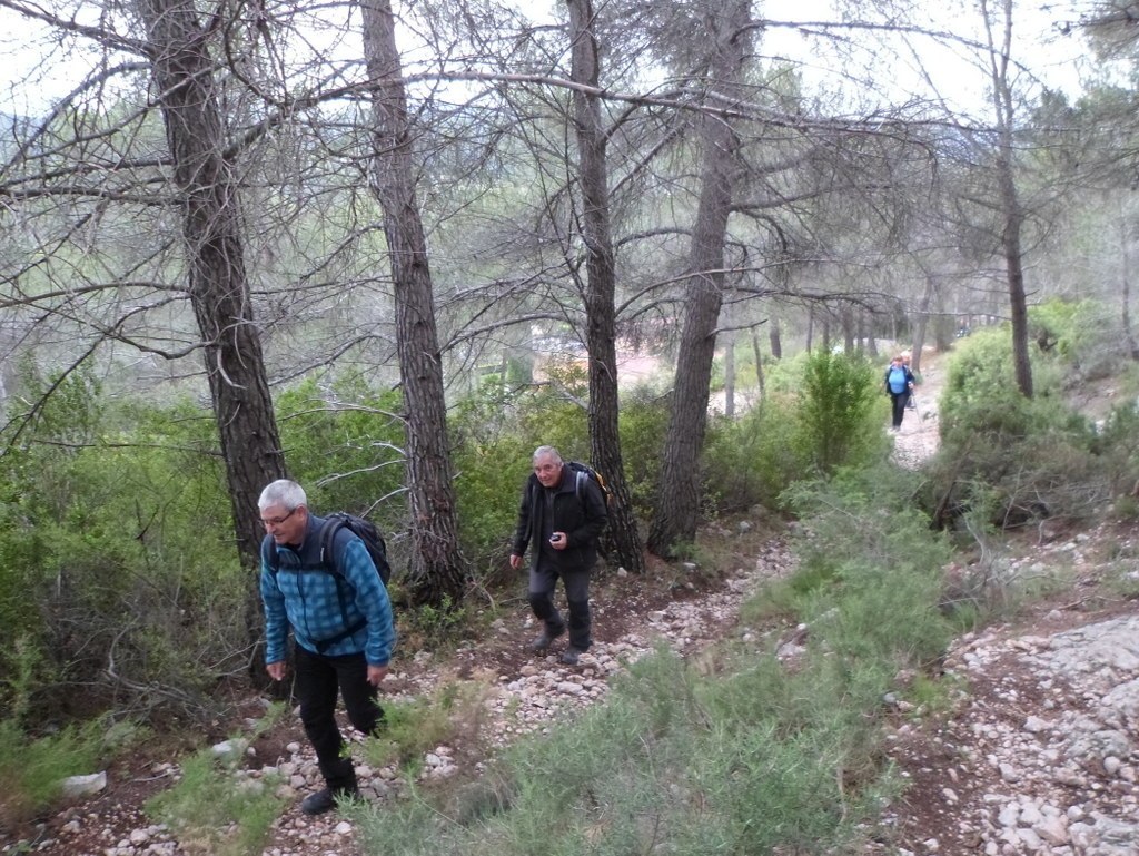 Le Tholonet - Bibemus - Jeudi 27 avril 2017 NZ7svz