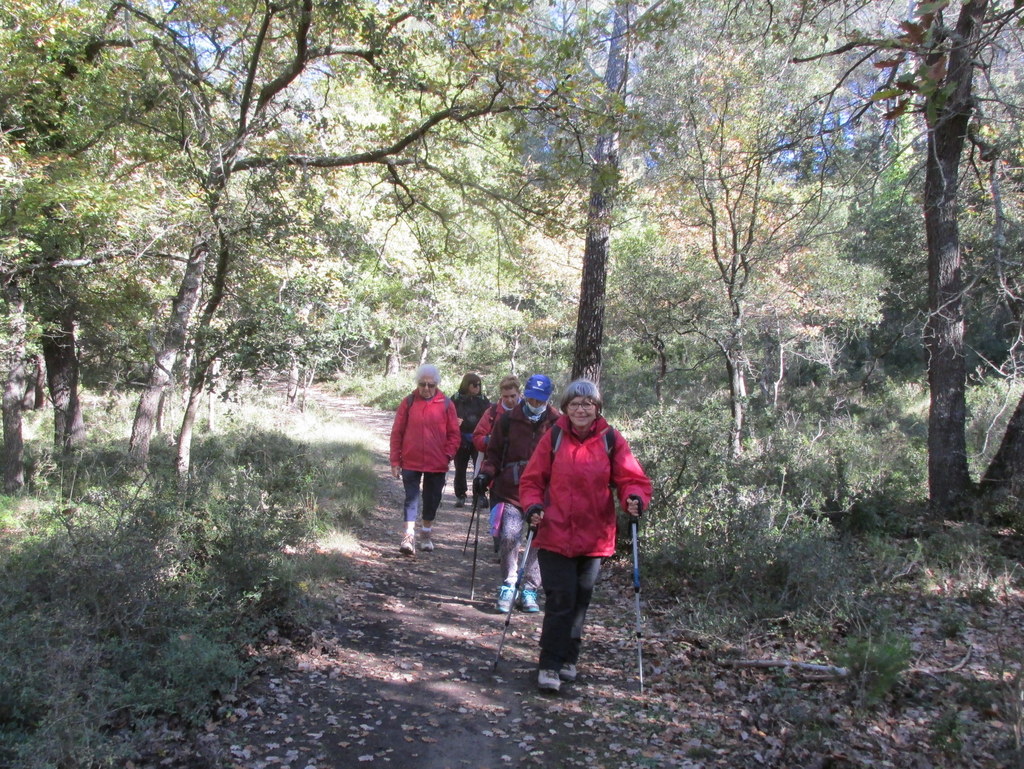 (Jean Marie et Gérard) Gardanne - Jeudi 4 novembre 2021 PEfe9K