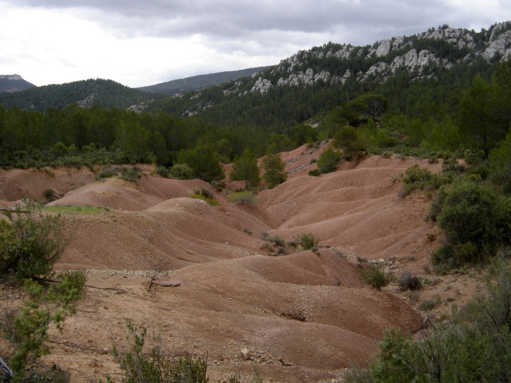 Le Tholonet - Jeudi 25 avril 2019 PNdyrW