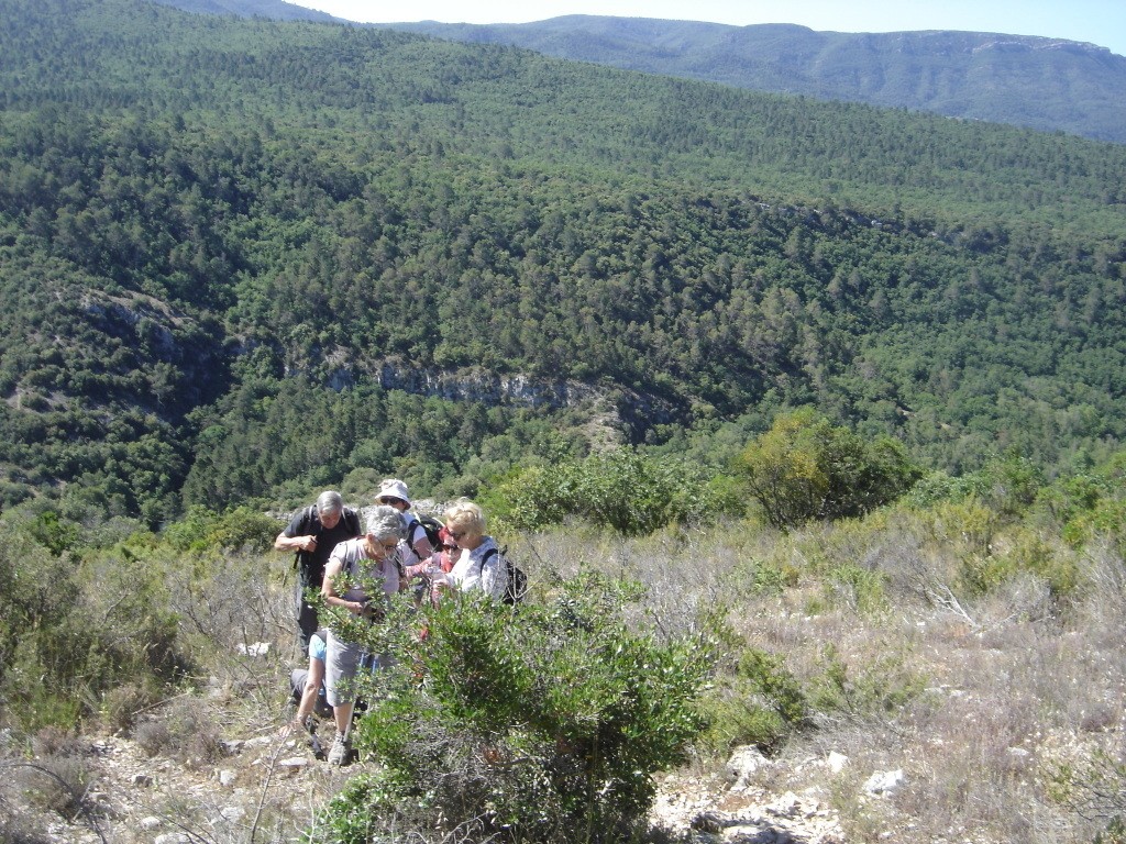 Tourves - Le Caramy -Jeudi 13 juin 2019 QE5CxY