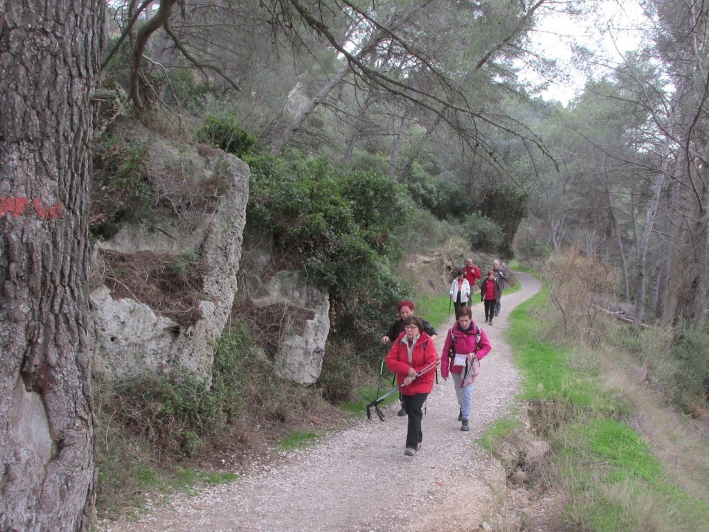 St Mitre les Remparts - Jeudi 15 février 2018 RO1FGz