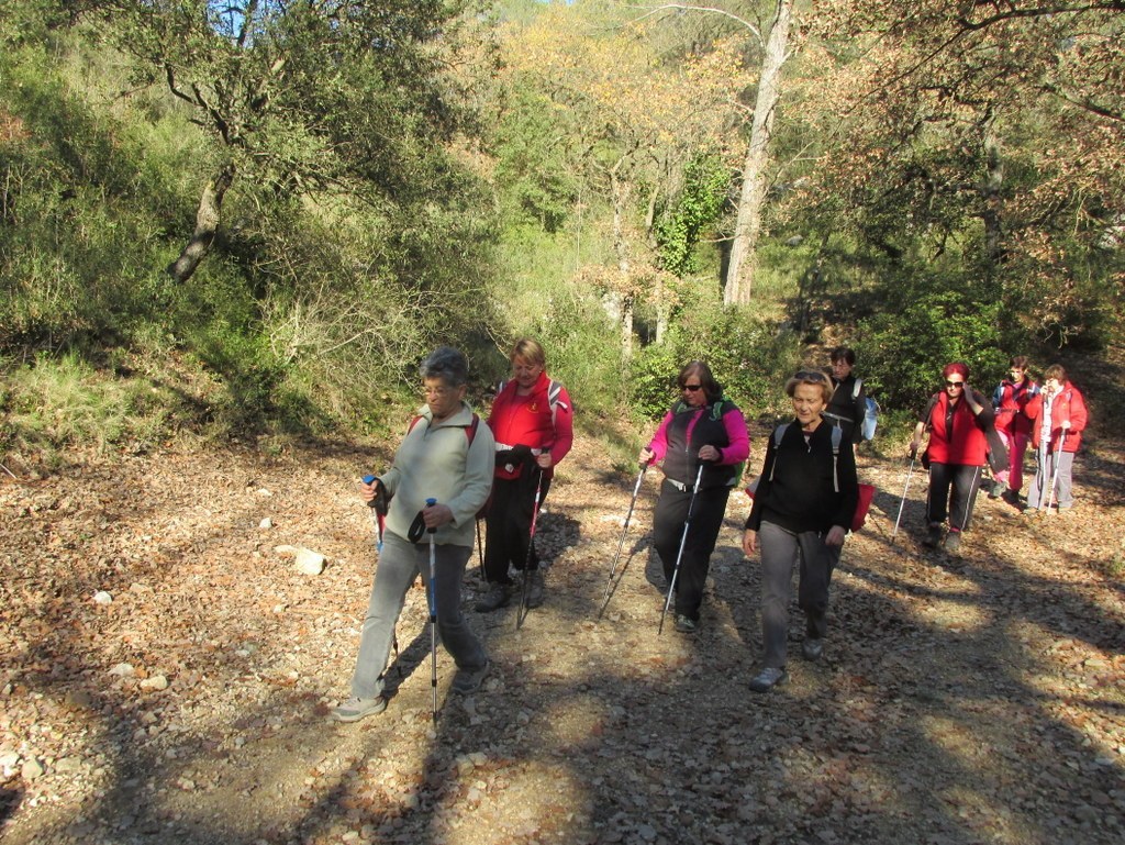 Gardanne -Jeudi 08 Décembre 2016 TI45aT